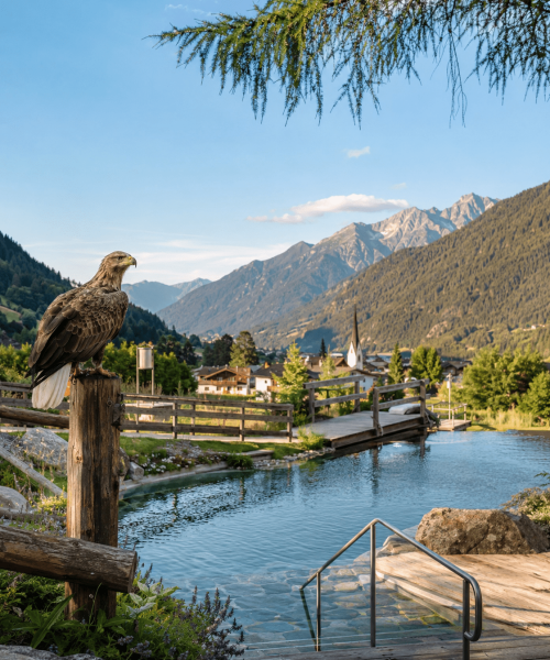 Telfes_im_Stubai_Ruhe_Greifvoegel_Bergbadewelt
